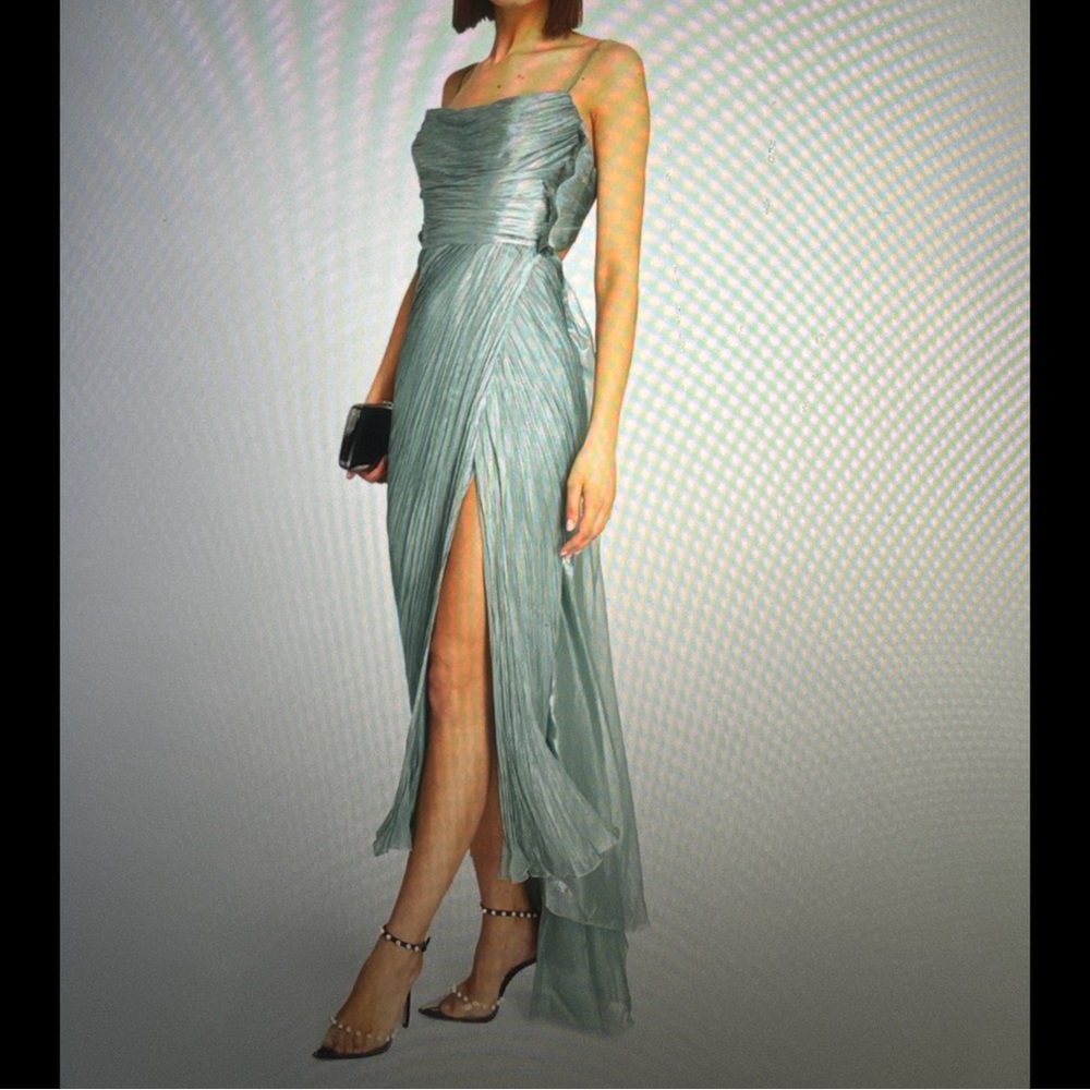 Maria Lucia Hohan Siona Pleated Dress - Picture 6 of 12